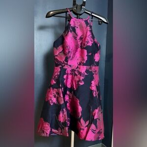 Xscape Black and Pink Floral Dress